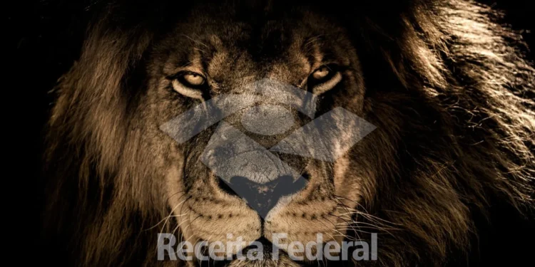 Semana do Imposto de Renda 2025: Últimas atualizações 14 atualização imposto de renda 2025