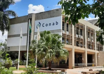 Concurso da Conab é anunciado com 403 vagas.