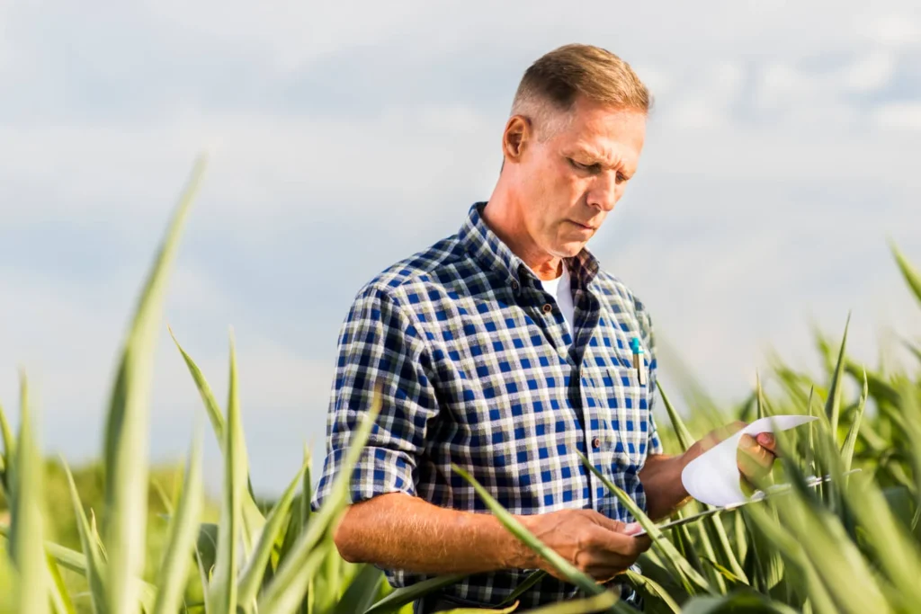 Agricultor analisa dados em uma plantação, demonstrando a importância da gestão rural eficiente.