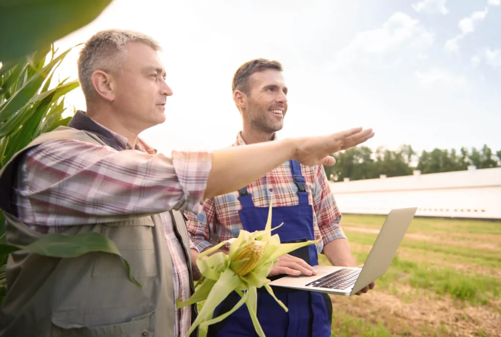 Gestão Rural: 5 Formas de organizar as finanças no Agronegócio gestao rural eficiente