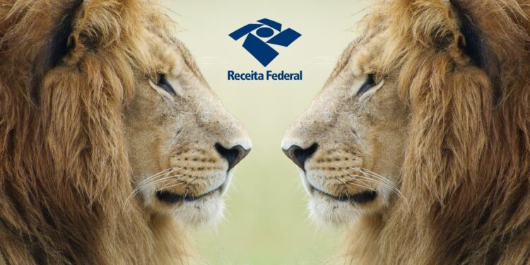 Impacto da Reforma Tributária nas Declarações do IR de 2025 14 mudanças imposto de renda reforma tributária