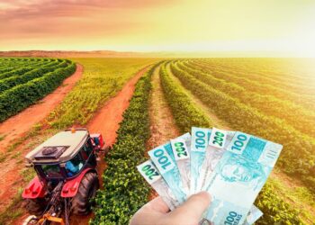 seguro garantia safra 2025