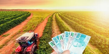 seguro garantia safra 2025