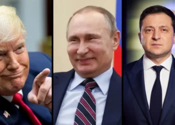 trump putin zelensky