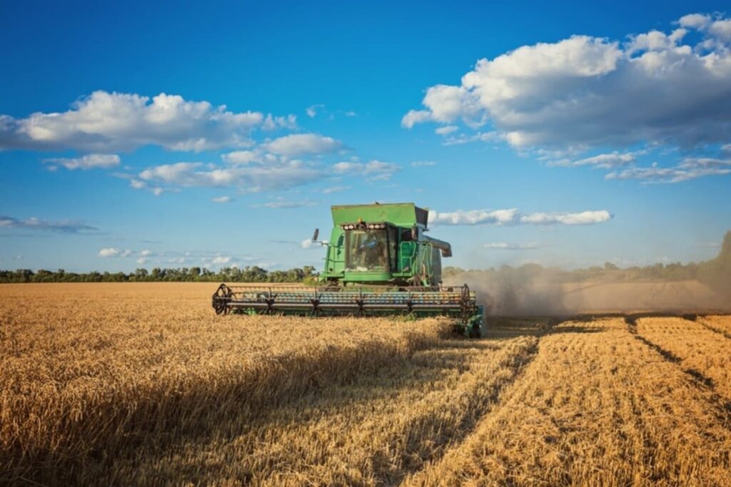 Boa gestão financeira se torna aliada do produtor rural para garantir sustentabilidade e crescimento Agronegocio 1 1