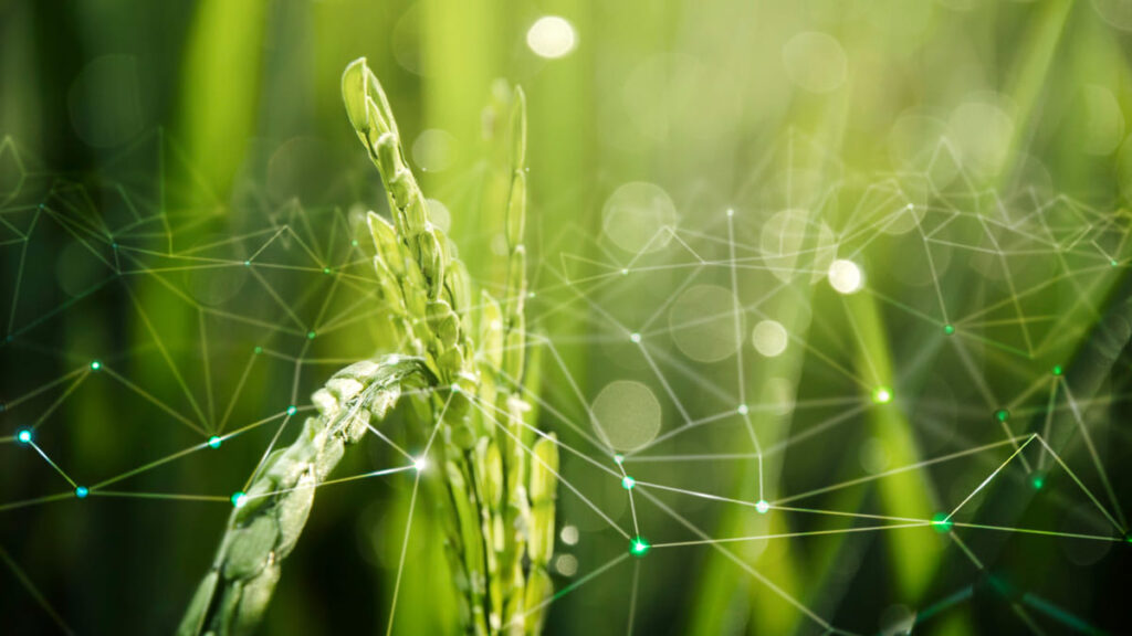 Exportações do agronegócio paulista recuam 11,6% no primeiro quadrimestre de 2025 Agronegocio 5 1 1