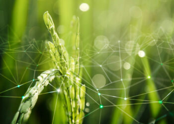 Distribuidores de Insumos e o Mercado de Capitais: Como a Inovação Financeira Está Transformando o Agronegócio