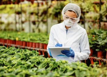 Engenharia de Alimentos cresce no Brasil e amplia demanda por profissionais especializados