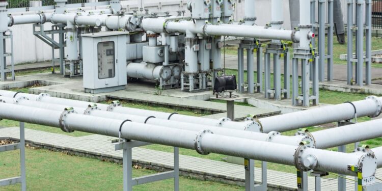 Foto: Reprodução/ Freepik