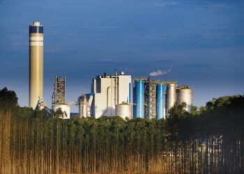 Suzano planeja compra de US$ 4 bi: impacto nas ações?