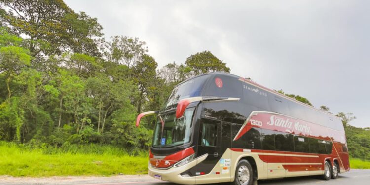 Foto: Reprodução/ Divulgação