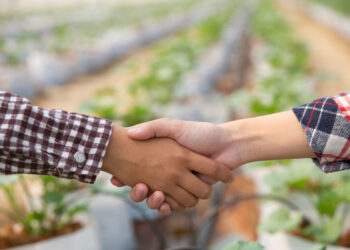 Agronegócio Brasileiro Se Preocupa com Tarifas Adicionais Impostas aos Produtos Nacionalizados