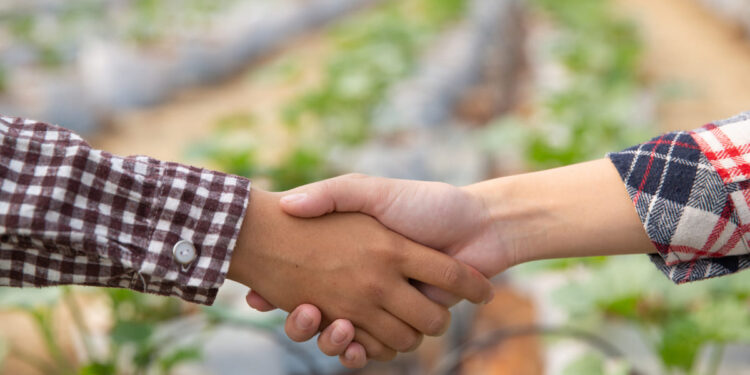 Foto: Reprodução/ Freepik