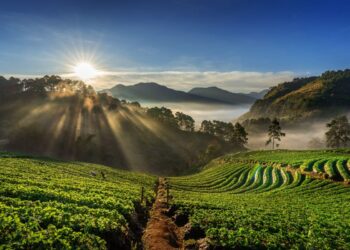 Inflação acelera em março e pressiona metas do governo; agropecuária impulsiona atividade econômica