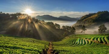 4º Fórum Futuro do Agro coloca a COP 30 no centro das discussões do setor agropecuário 1 Inflação acelera em março e pressiona metas do governo; agropecuária impulsiona atividade econômica