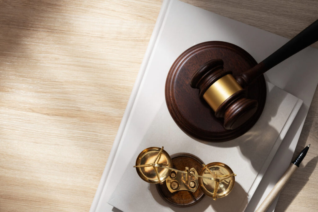 O Princípio da Capacidade Contributiva e a Reforma do Imposto de Renda justica tributaria 1 1