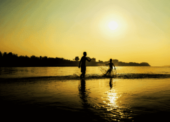 IRB(Re) publica relatório de sustentabilidade referente a 2024