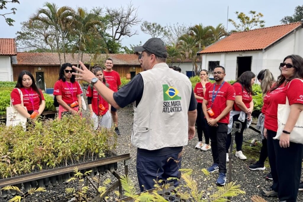 Bradesco completa mais de 30 anos de apoio à preservação da Mata Atlântica Sustentabilidade 1 1
