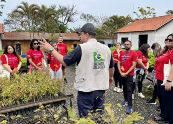 Bradesco completa mais de 30 anos de apoio à preservação da Mata Atlântica