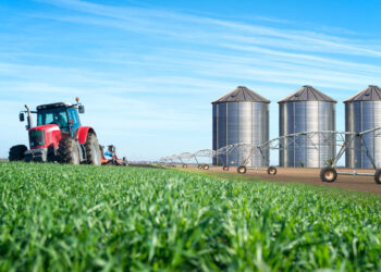 Setor do tabaco lidera exportações no Rio Grande do Sul e impulsiona economia local