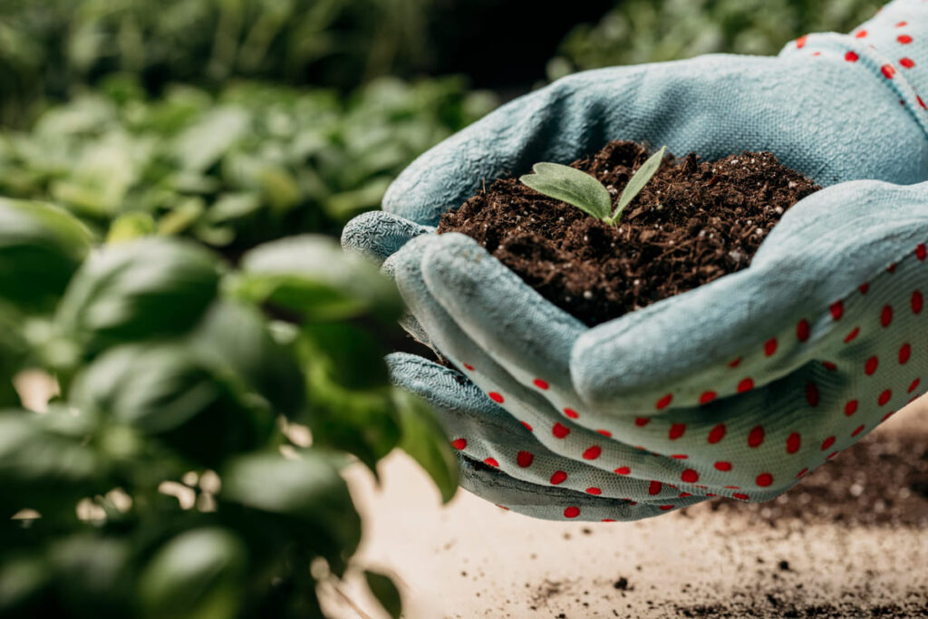  Entrega de fertilizantes ao agro cresceu no primeiro bimestre fertilizantes agro 1 1