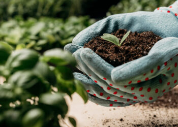  Entrega de fertilizantes ao agro cresceu no primeiro bimestre