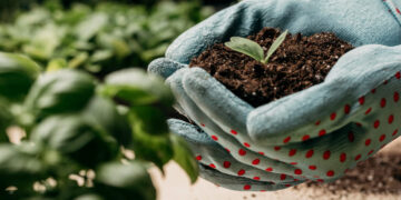 Entrega de fertilizantes ao agro cresceu no primeiro bimestre 1  Entrega de fertilizantes ao agro cresceu no primeiro bimestre