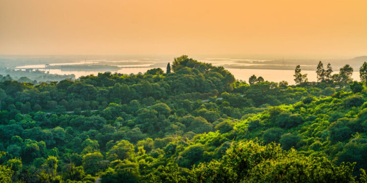 Foto: Reprodução/ Freepik