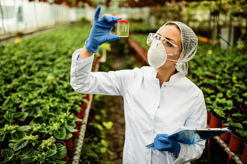 Diálogo com povos tradicionais é fundamental para a bioeconomia na Amazônia Bioeconomia 1 1