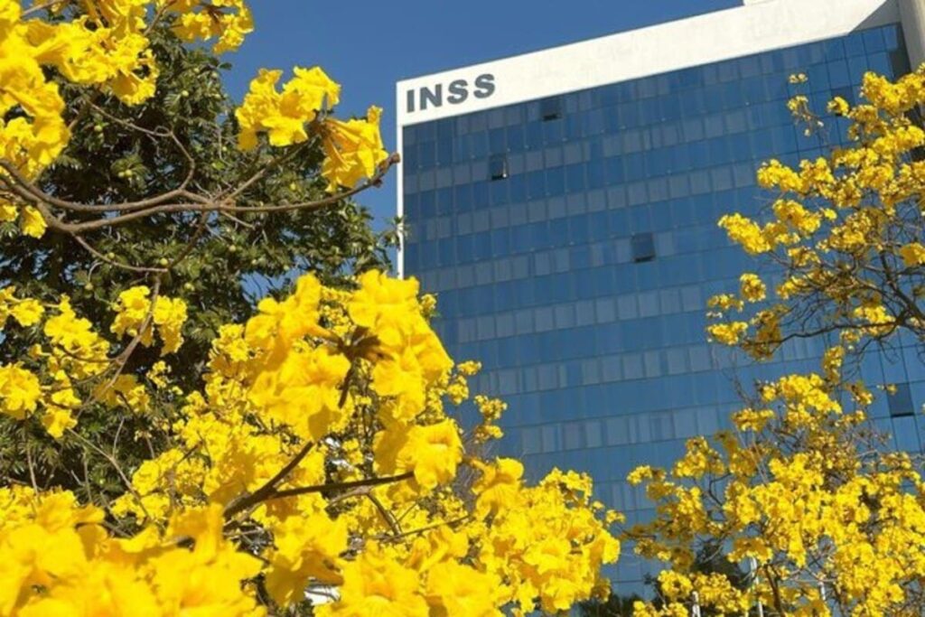 INSS: Pagamento de Ressonância para Aposentados e Pensionistas Inss 1 1