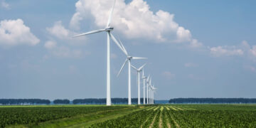 BID Invest concede US$ 70 milhões ao Sicoob para impulsionar agricultura e energia sustentável na Amazônia