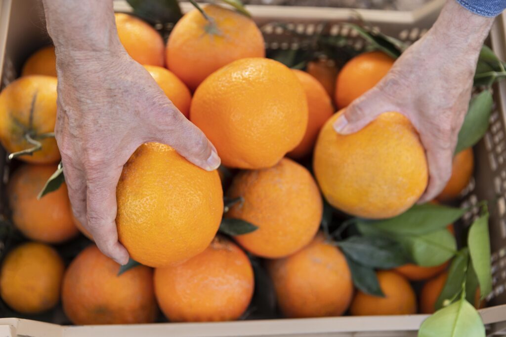 Tarifaço de 50% dos EUA contra o Brasil inclui exceções para setores estratégicos produtos fora do tarifaco