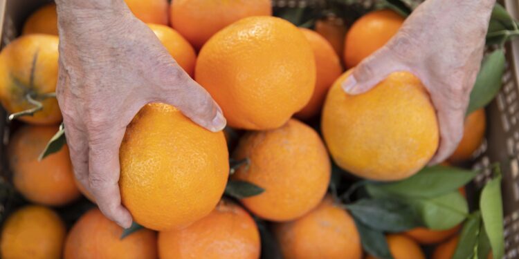 Tarifaço de 50% dos EUA contra o Brasil inclui exceções para setores estratégicos 14 Imagem: Freepik