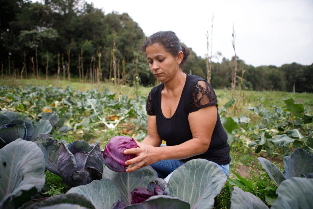 BNDES lança programa para apoiar produção de bioinsumos na agricultura familiar Agricultura familiar 2 1