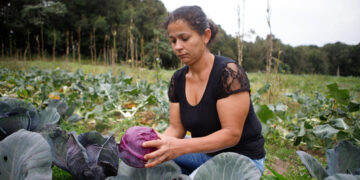 BNDES lança programa para apoiar produção de bioinsumos na agricultura familiar