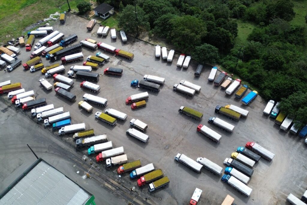 Laranjas estão apodrecendo nas fazendas; Brasil registra menor volume exportado Fabrica Marata Sergipe foto Faese