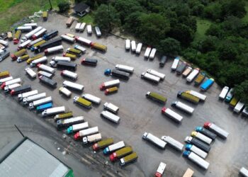 Laranjas estão apodrecendo nas fazendas; Brasil registra menor volume exportado