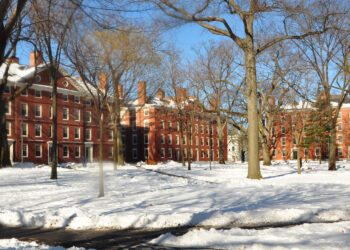 Harvard e Trump avançam em acordo — mas universidade resiste a entregar dados raciais de admissão ao governo