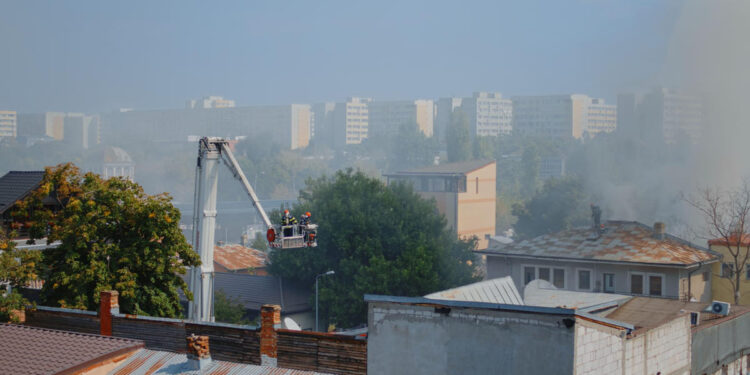 Foto: Reprodução/ Freepik