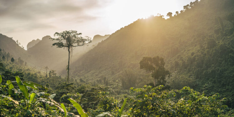 Foto: Reprodução/ Freepik