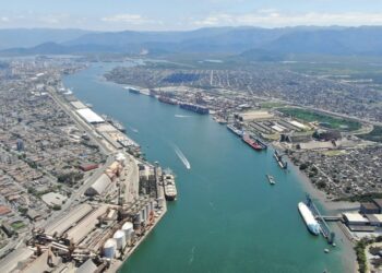 Porto de Santos registra recorde histórico na movimentação de cargas em julho