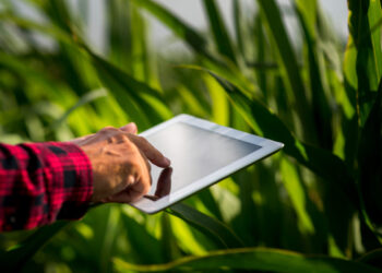 Receita Federal estabelece prazo para entrega da declaração do ITR 2025