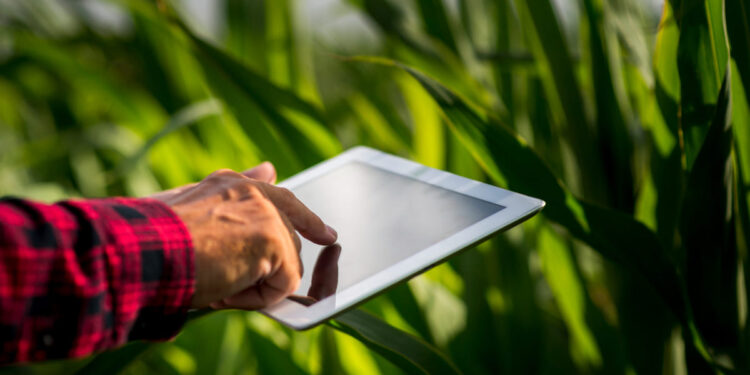 Foto: Reprodução/ Freepik