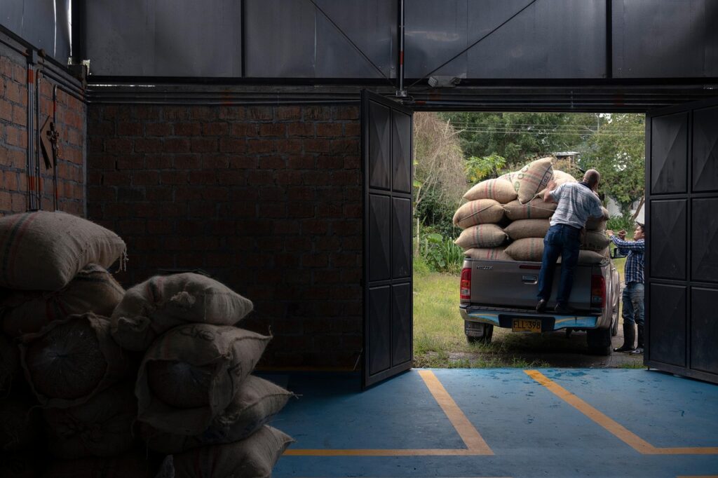Safra de café 2024/2025 se aproxima do fim com produtividade dentro do esperado Safra cafe
