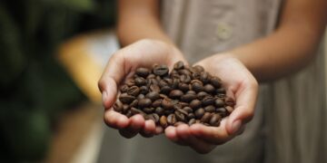 Tarifa de 50% imposta pelos EUA deve redirecionar café brasileiro para a China 1 Tarifa de 50% imposta pelos EUA deve redirecionar café brasileiro para a China
