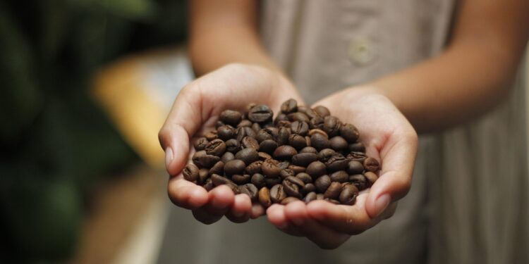 Tarifa de 50% imposta pelos EUA deve redirecionar café brasileiro para a China cafe exportacao China
