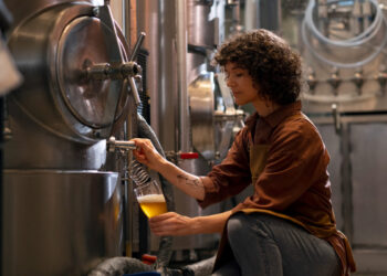 Indústria cervejeira brasileira cresce em número de estabelecimentos e mantém produção estável em 2024