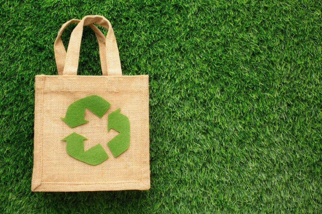 Estudo revela hábitos de consumo sustentável no Brasil consumo sustentavel 1 1 1 1