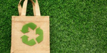 Estudo revela hábitos de consumo sustentável no Brasil 3 Estudo revela hábitos de consumo sustentável no Brasil