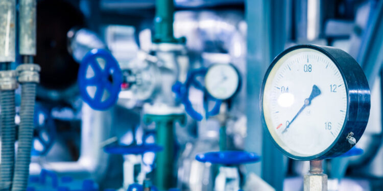 Foto: Reprodução/ Freepik